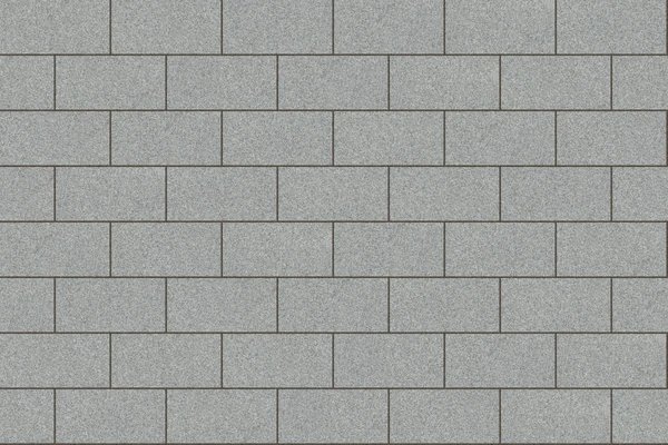 Polycor EASTERN GRAY™ Granite Half Running Bond (12x24) Stone Paver Texture