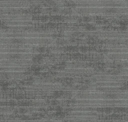 lucide-40230-moment-15471-v3