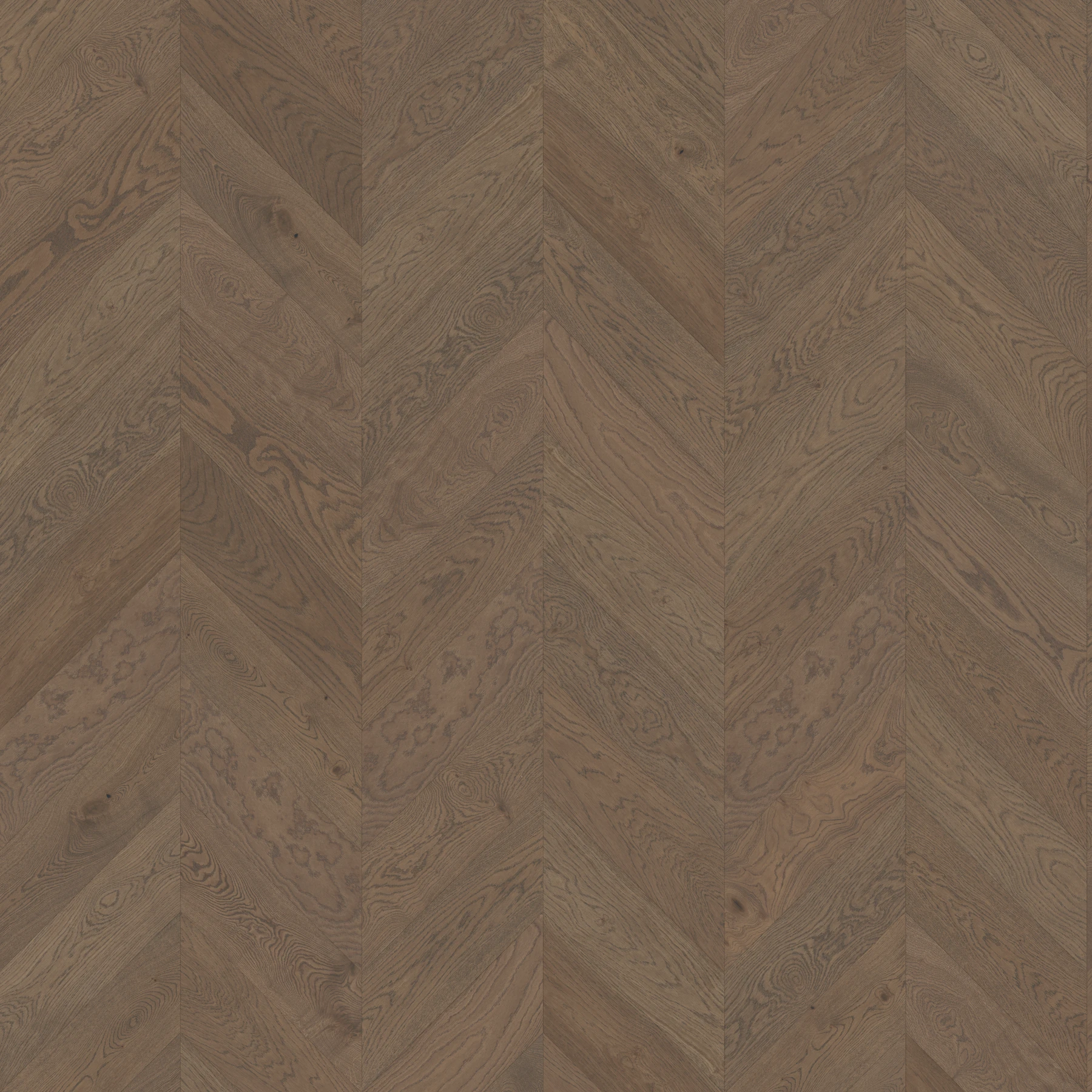 Eighteen Seventy-Five M197542 Southfields︱Chevron Wood Floor Indoor Flooring surface by Real Wood Floors