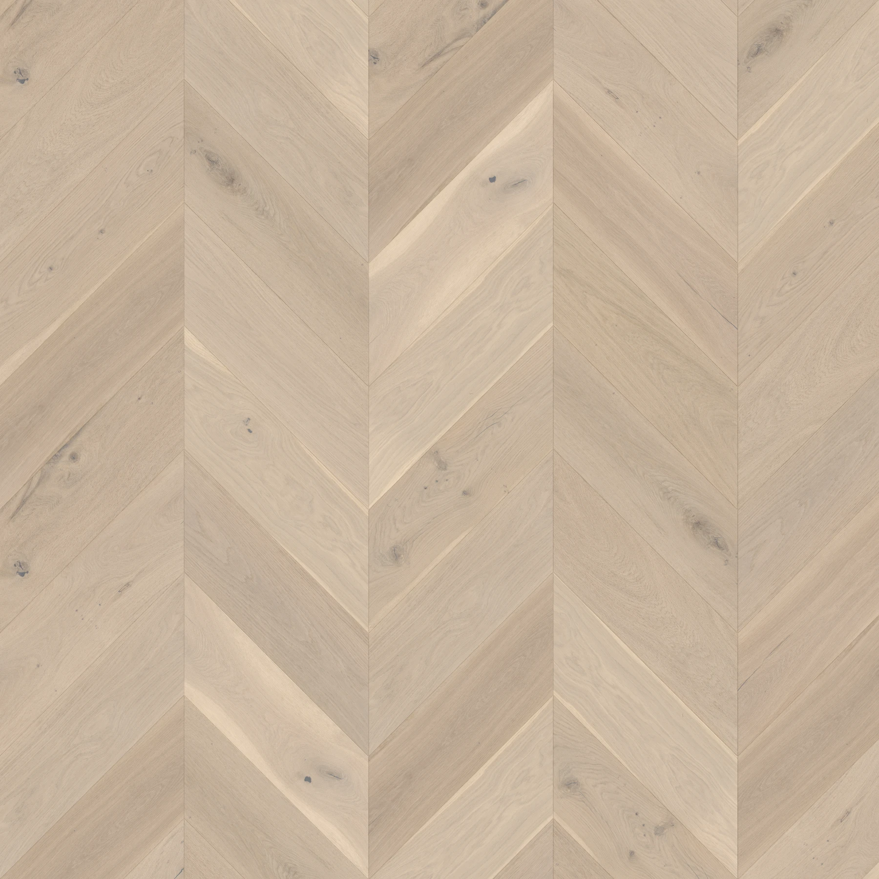 Bowland Fells M188321 Eldroth︱Chevron Wood Floor Indoor Flooring surface by Real Wood Floors
