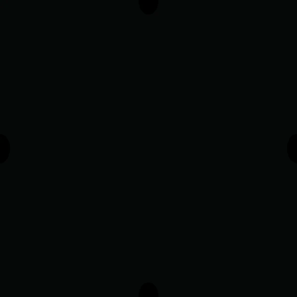 Barrisol Canada Lacquered Finish XL Tulip Black #02041 | Microperforation Stretch Ceiling Texture