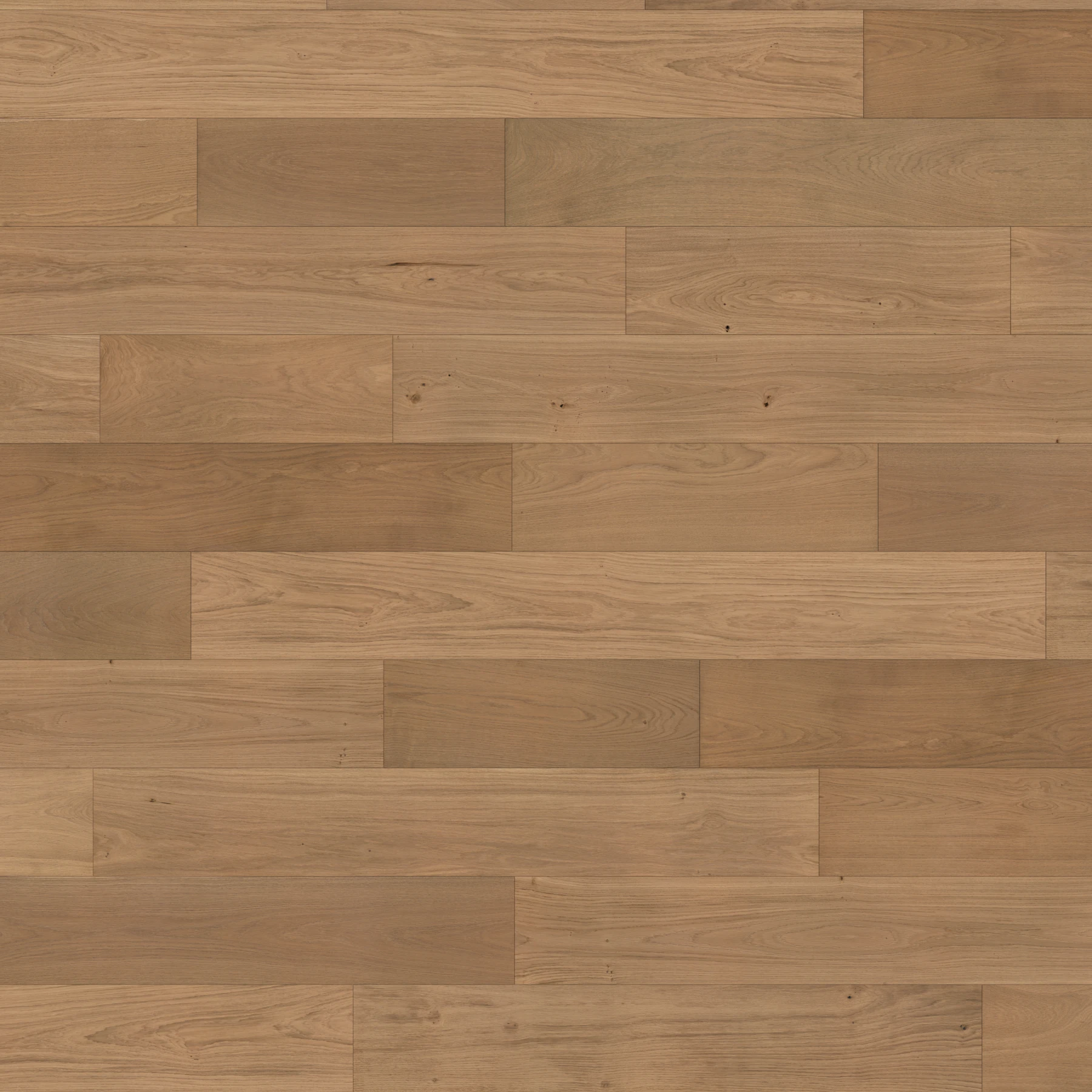Apogee European Oak - Alba 9.5" Wood Floor Indoor Flooring surface by Denali Hardwood Floors