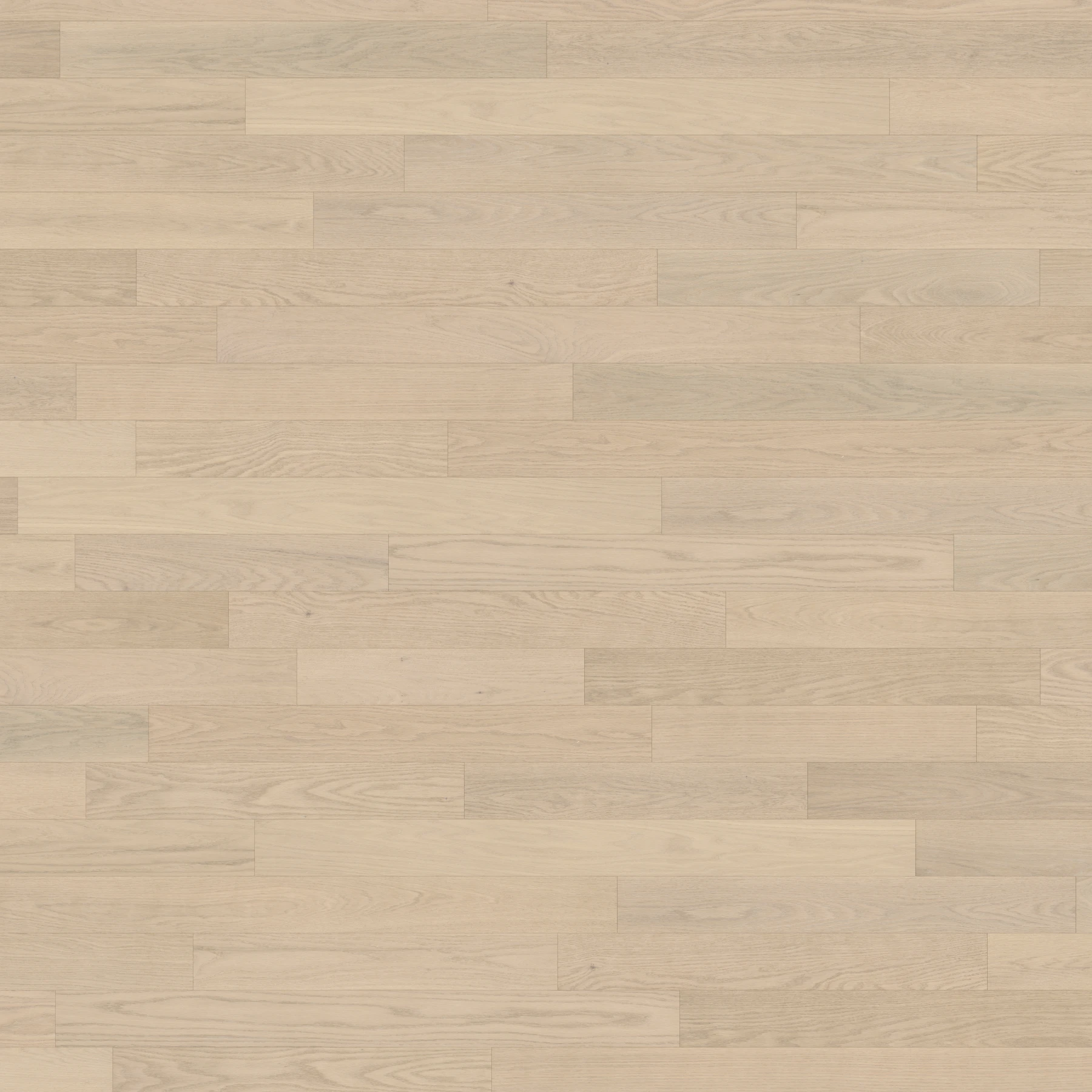 Oak Royal Select Brushed Matte Wood Floor Flooring surface by Alexandra Hardwood Flooring
