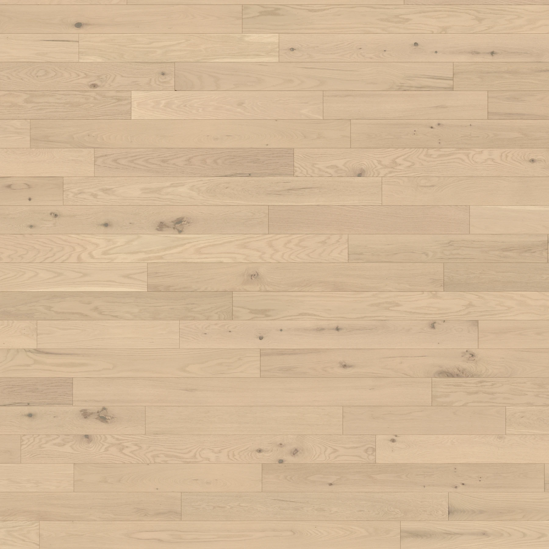 Surface de Chêne Lynx Character Satin Revêtement de sol par Alexandra Hardwood Flooring