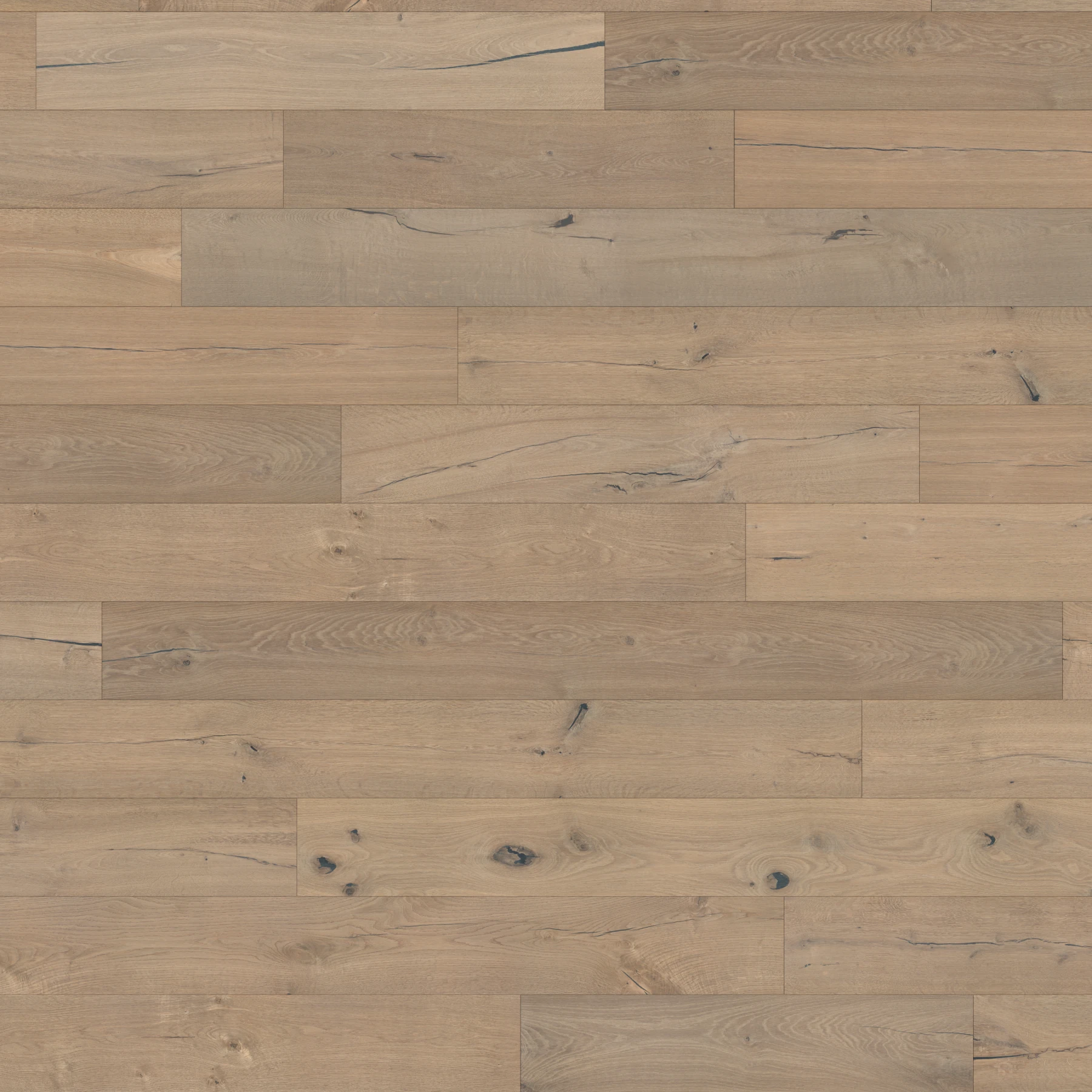 Mason European Oak - Arcade 8.625" Wood Floor Indoor Flooring surface by Denali Hardwood Floors