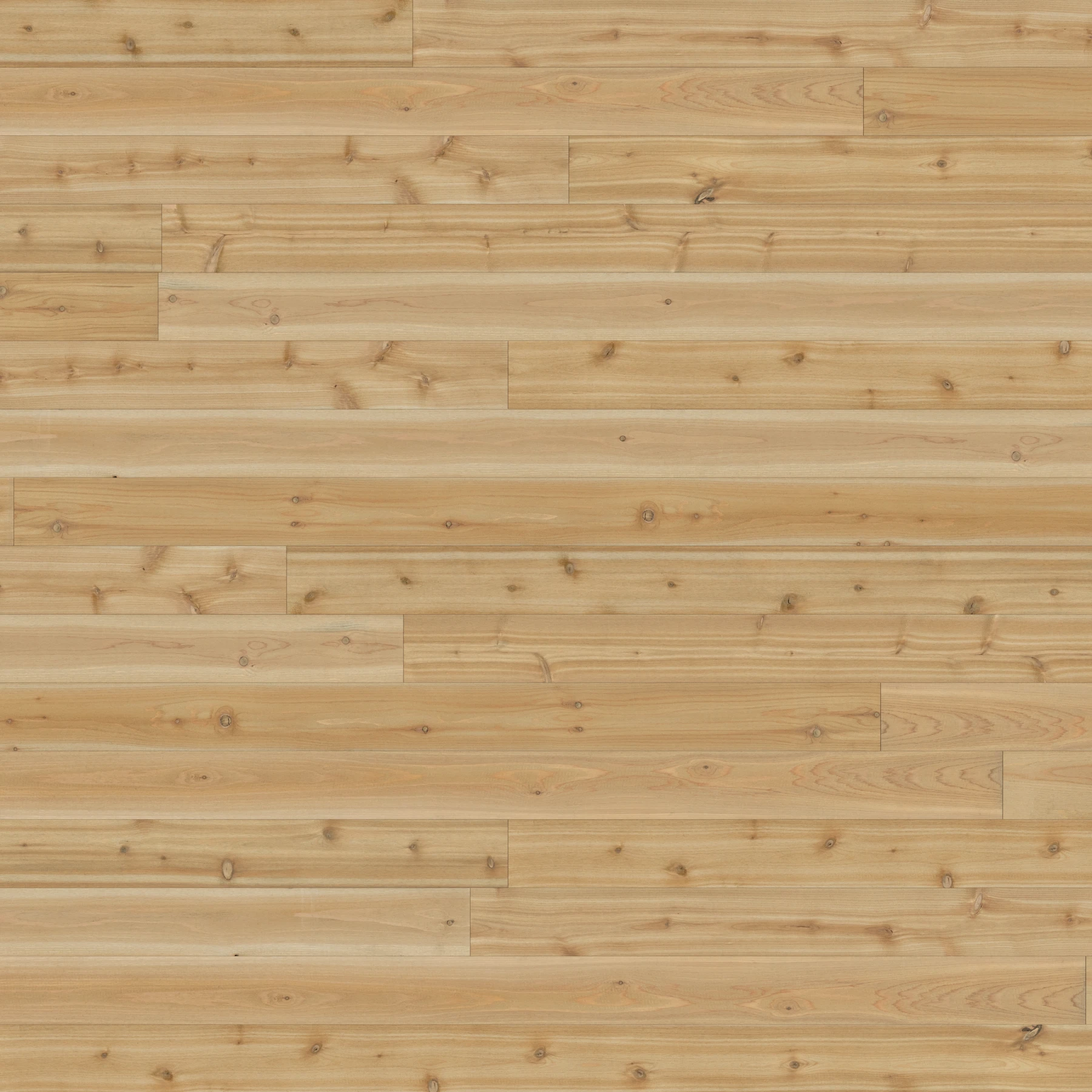 Aquafir Cedar Honey Blonde Smooth Shiplap Wood Siding Exterior Ceiling and Soffit surface by Montana Timber Products