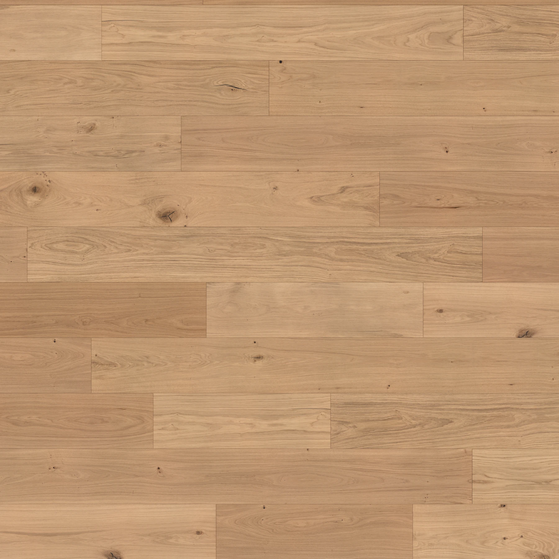 Apogee European Oak - Elbrus 9.5" Wood Floor Indoor Flooring surface by Denali Hardwood Floors