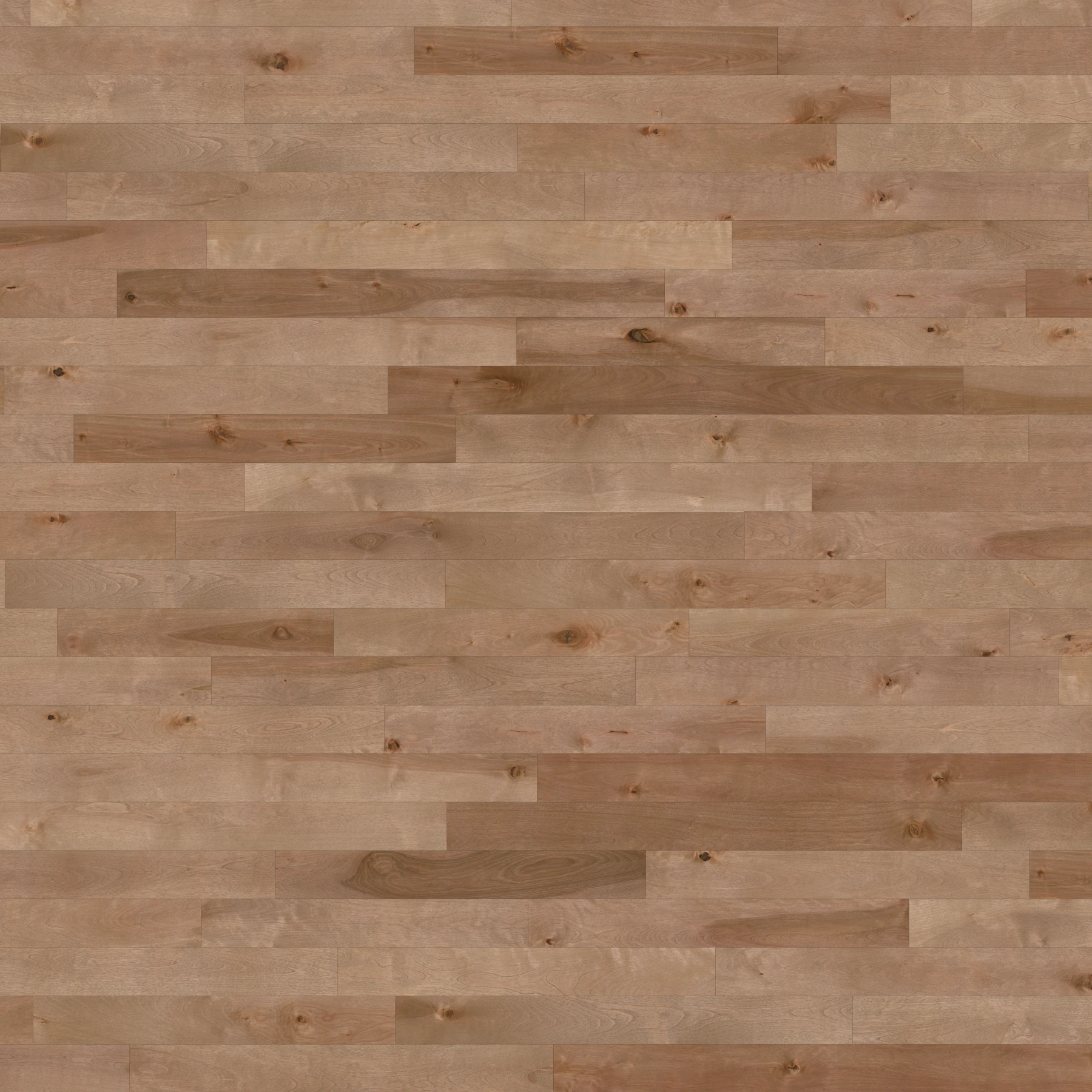 Birch Beach Character Smooth Satin Wood Floor Flooring surface by Alexandra Hardwood Flooring