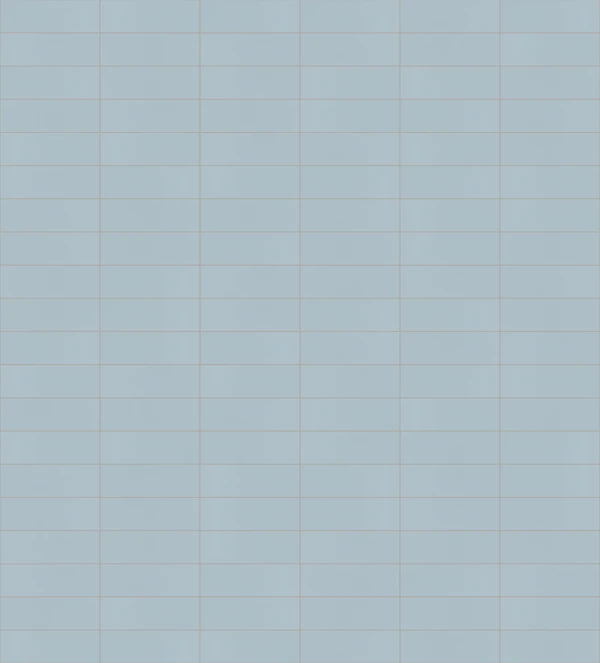 Ceratec P21 Lua mat Texture