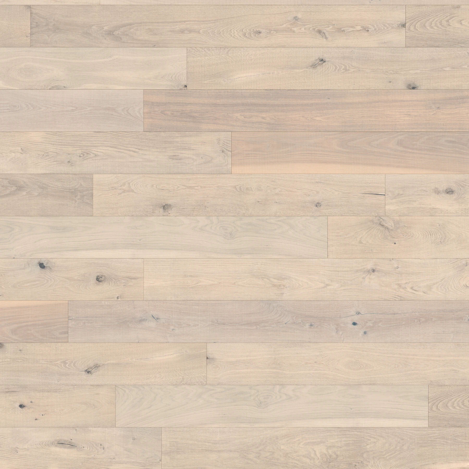 Renaissance European Oak - Cellini 8.625" Wood Floor Indoor Flooring surface by Denali Hardwood Floors