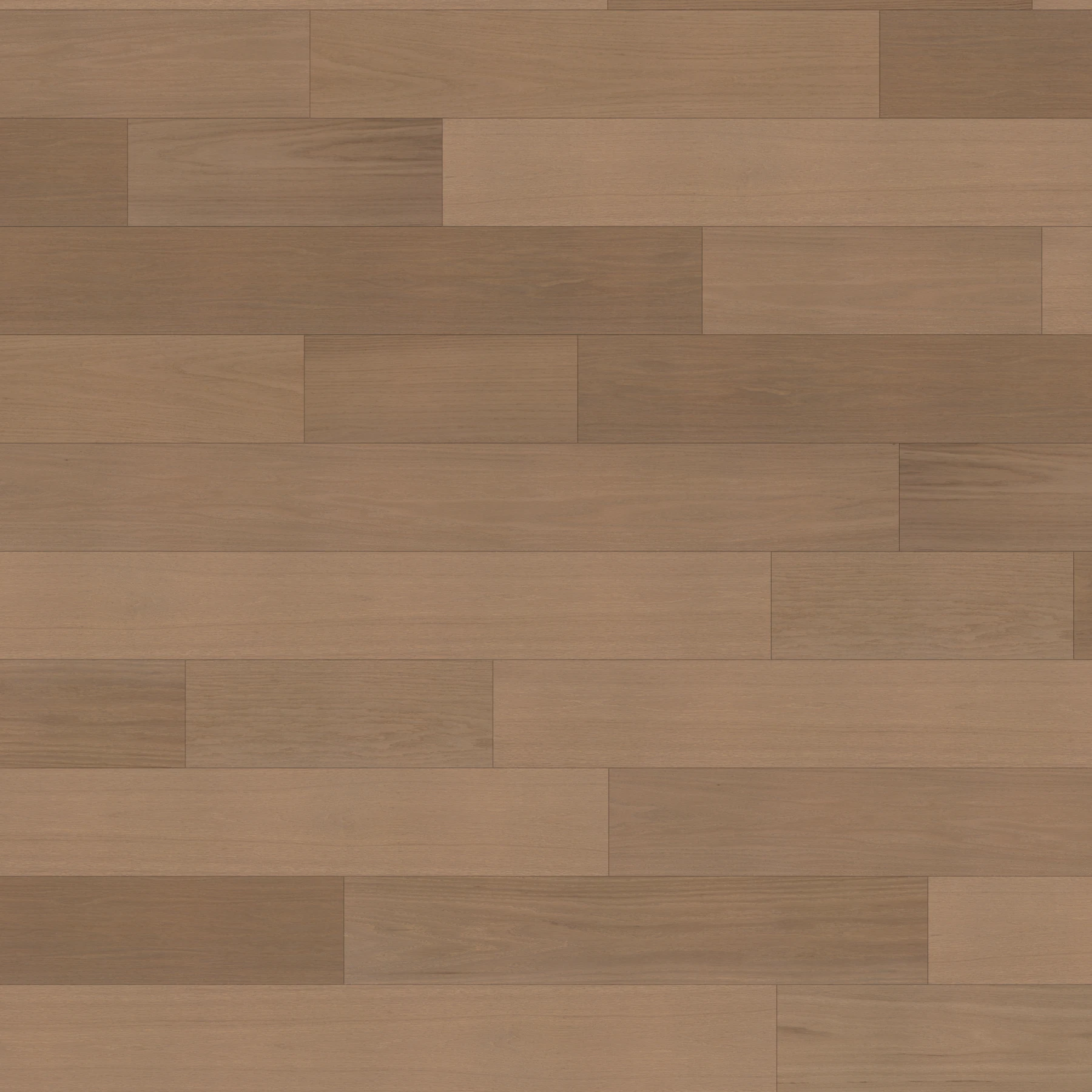 Eterna American Oak - Millen 9.5" Wood Floor Indoor Flooring surface by Denali Hardwood Floors