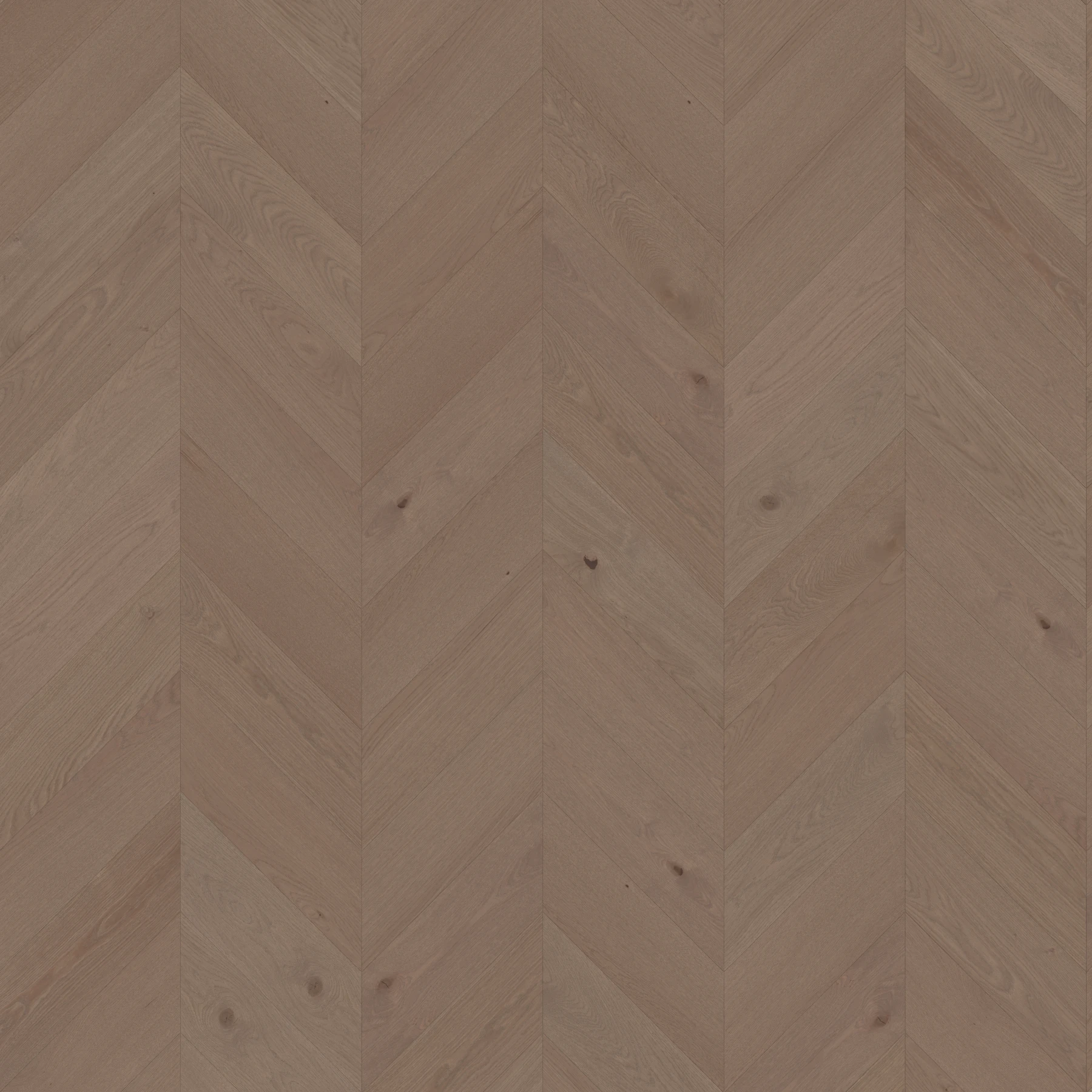 Surface de Killarney M197546 Glencar︱Chevron Couvre-plancher intérieur par Real Wood Floors