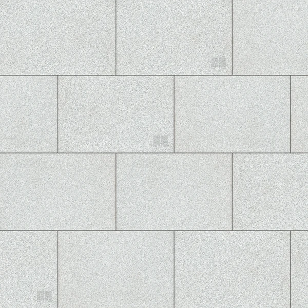 Banas Stones Granite Salt and Pepper (36x24) Stone Paver Texture