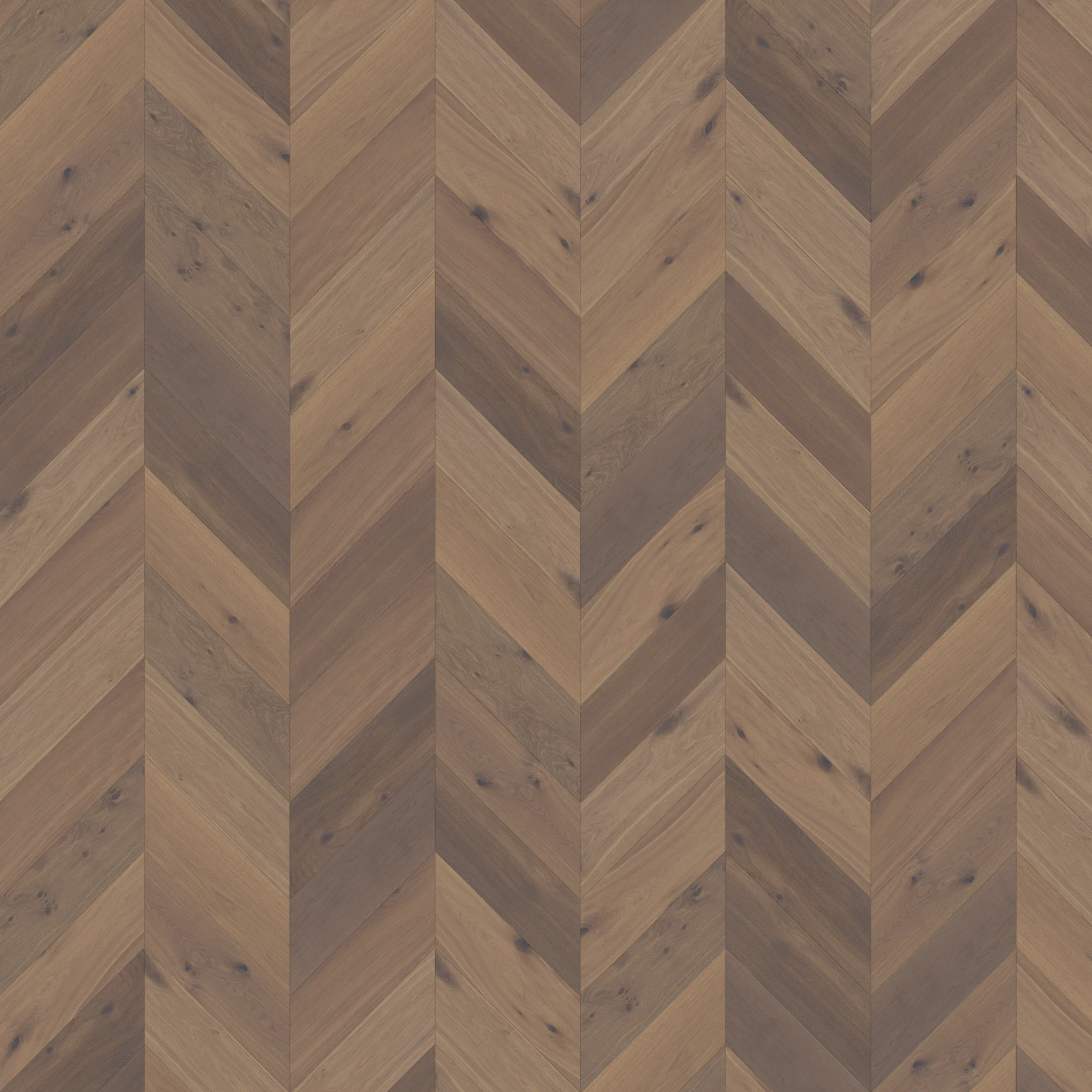 Eighteen Seventy Five M111810 Surrey︱Chevron Wood Floor Indoor Flooring surface by Real Wood Floors