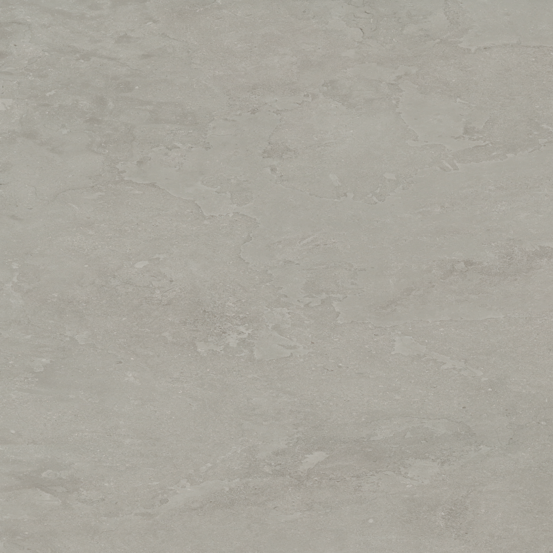 Ecostone Fossil Cross Cut Matte (48x110) Porcelain Tile Wall Cladding surface by MILE®stone