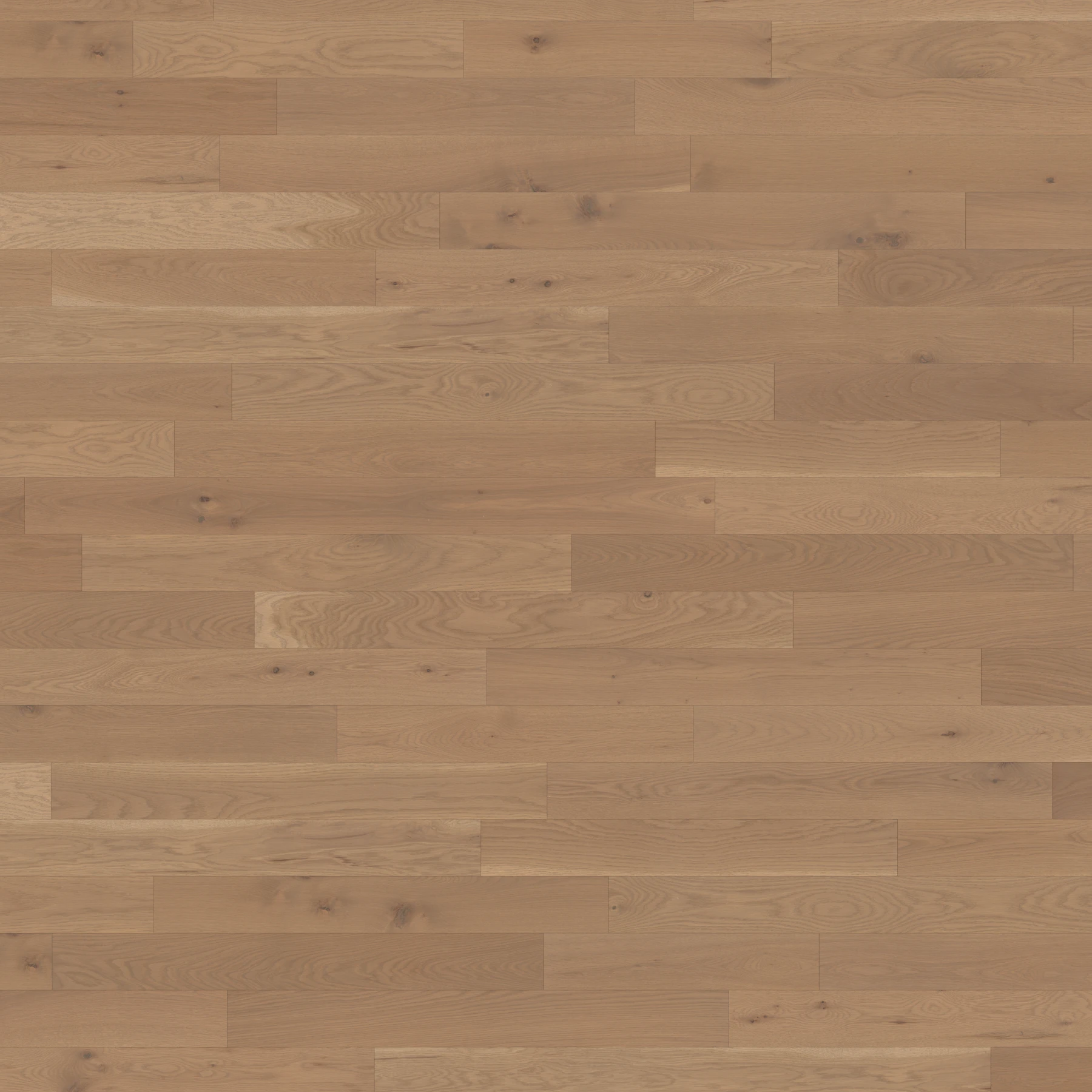 White Oak Chiffon Character Brushed Matte Wood Floor Flooring surface by Alexandra Hardwood Flooring