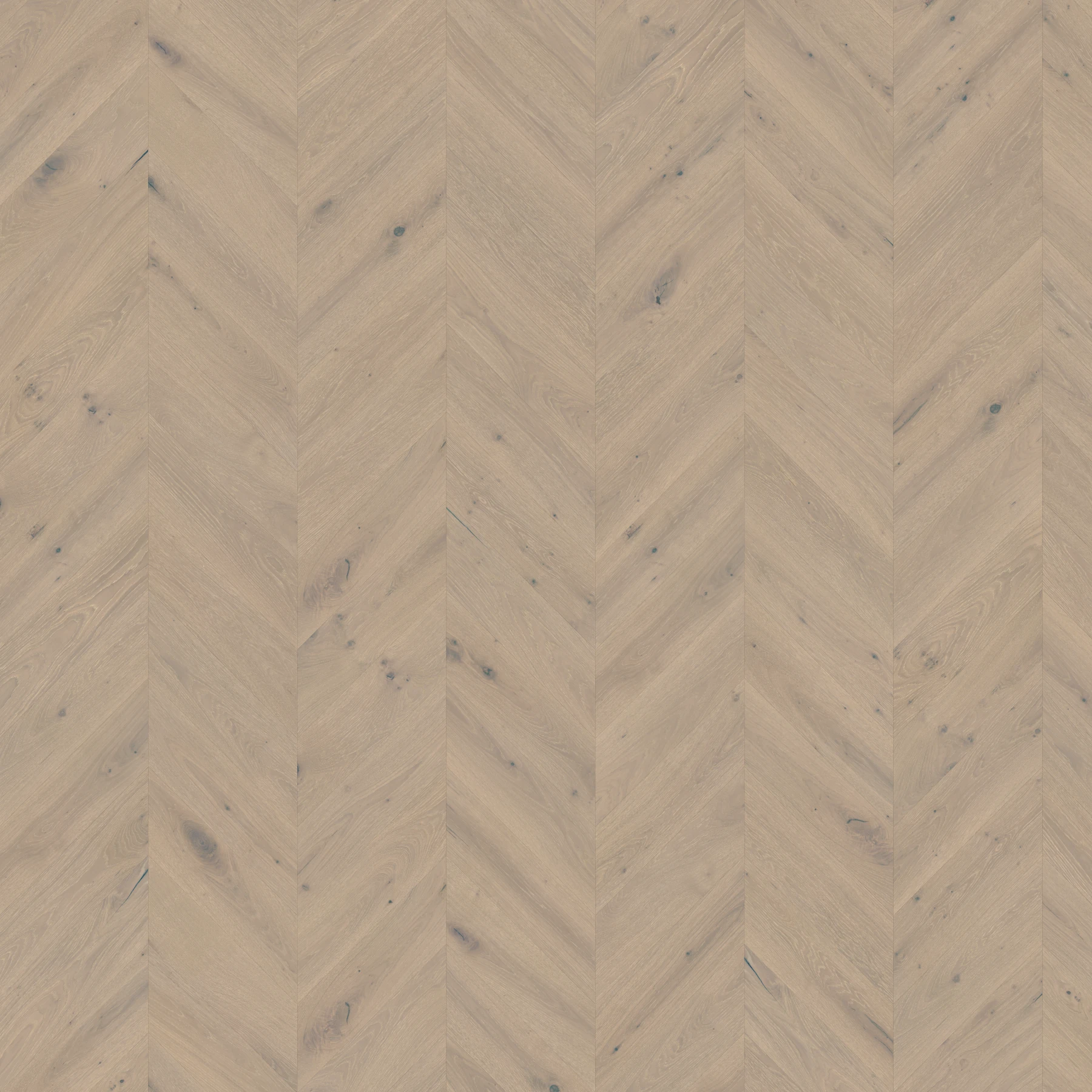 Surface de European Wood Collection Sable - Chevron pattern Revêtement de sol par European Company