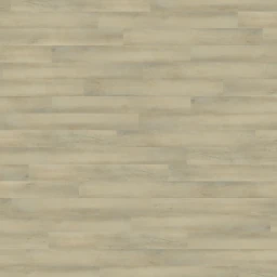 palmera-2674-desert-rose