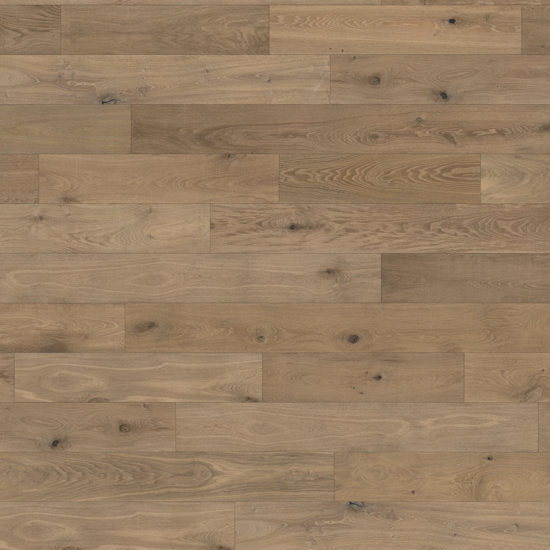 Renaissance European Oak - Raphael 8.625" Wood Floor Indoor Flooring surface by Denali Hardwood Floors