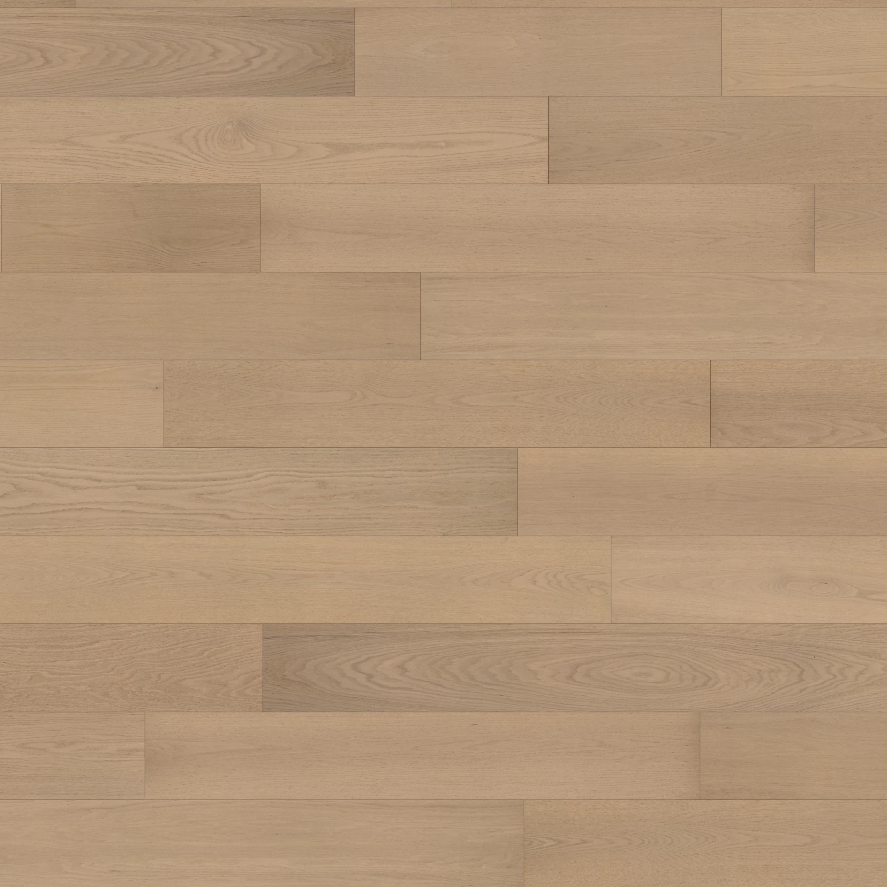 Eterna American Oak - Eclipse 9.5" Wood Floor Indoor Flooring surface by Denali Hardwood Floors