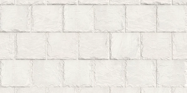 Brava Roof Tile Slate Tile Cool White Texture