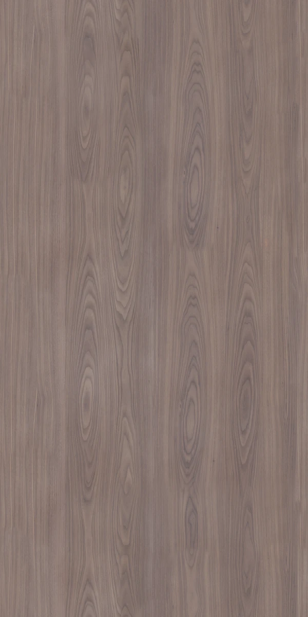 Elmwood Copal Stain on Flat Cut Walnut Texture