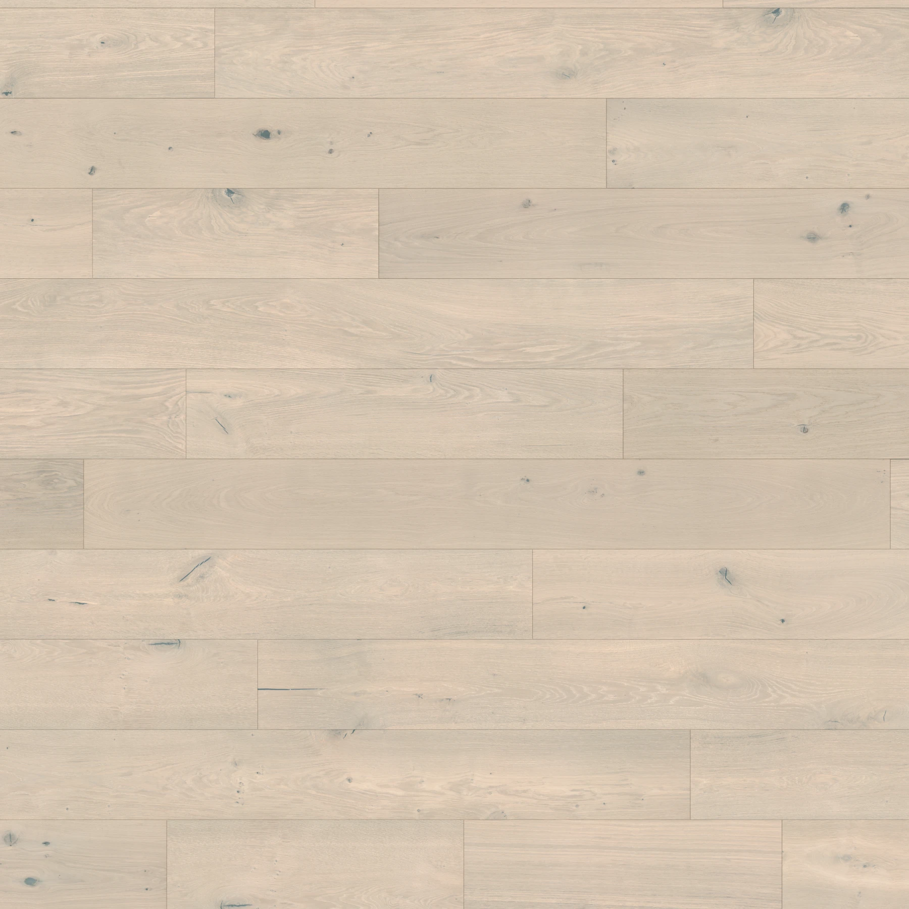 Surface de Apogee European Oak - Stavros 9.5" Couvre-plancher intérieur par Denali Hardwood Floors