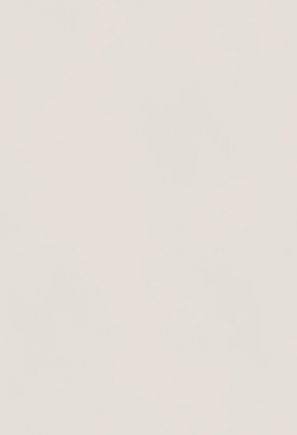 Elmwood Coastal Paint Texture