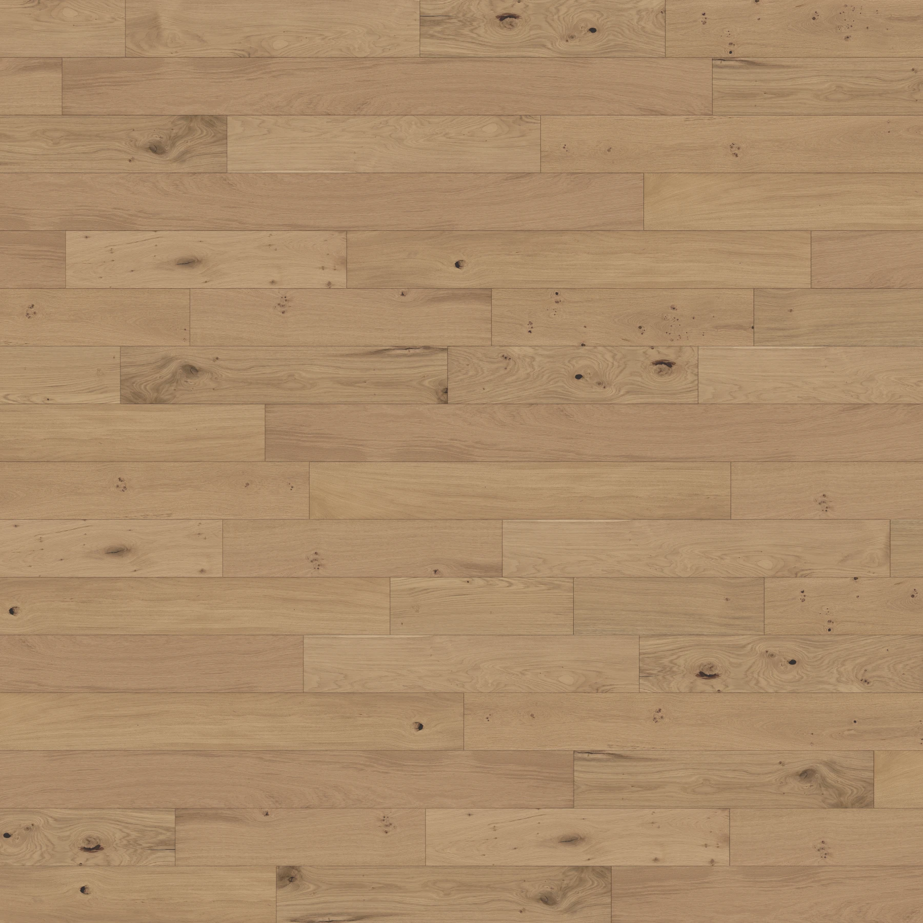 Eighteen Seventy Five M111808 Putney︱Plank Wood Floor Indoor Flooring surface by Real Wood Floors