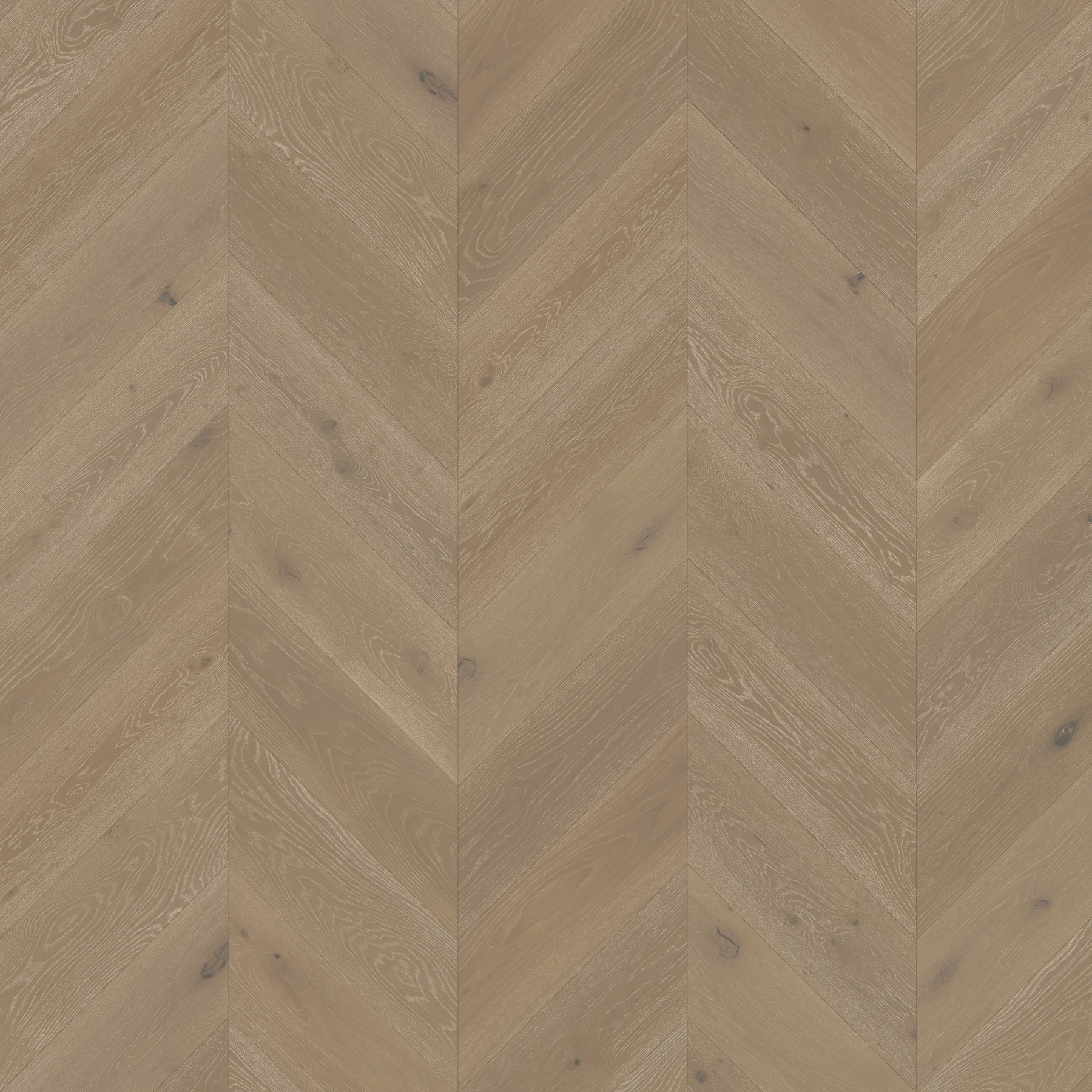 Bowland Fells M188326 Longridge︱Chevron Wood Floor Indoor Flooring surface by Real Wood Floors