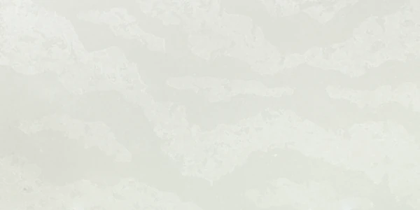 Vicostone BQ8870 Olympus White | OLYMPUS WHITE® Honed Quartz Texture