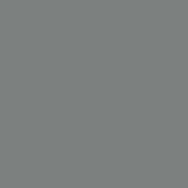 Sublime Supramat Antibactérien 3017 Gris Éternel Texture