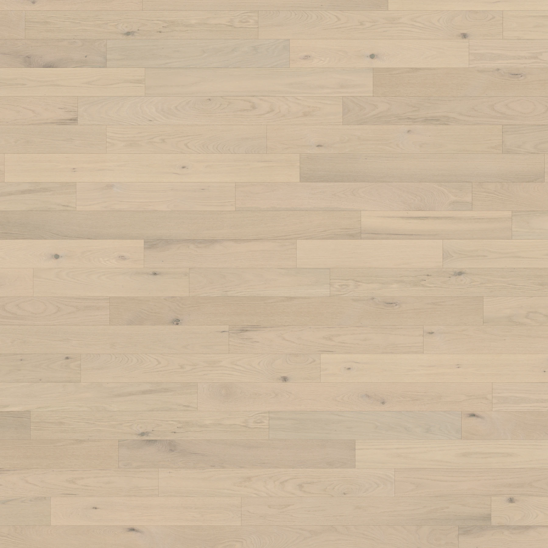 Oak Royal Character Brushed Matte Wood Floor Flooring surface by Alexandra Hardwood Flooring