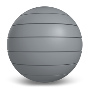 Western States Metal Roofing Dolphin Gray Western Reveal 1.0