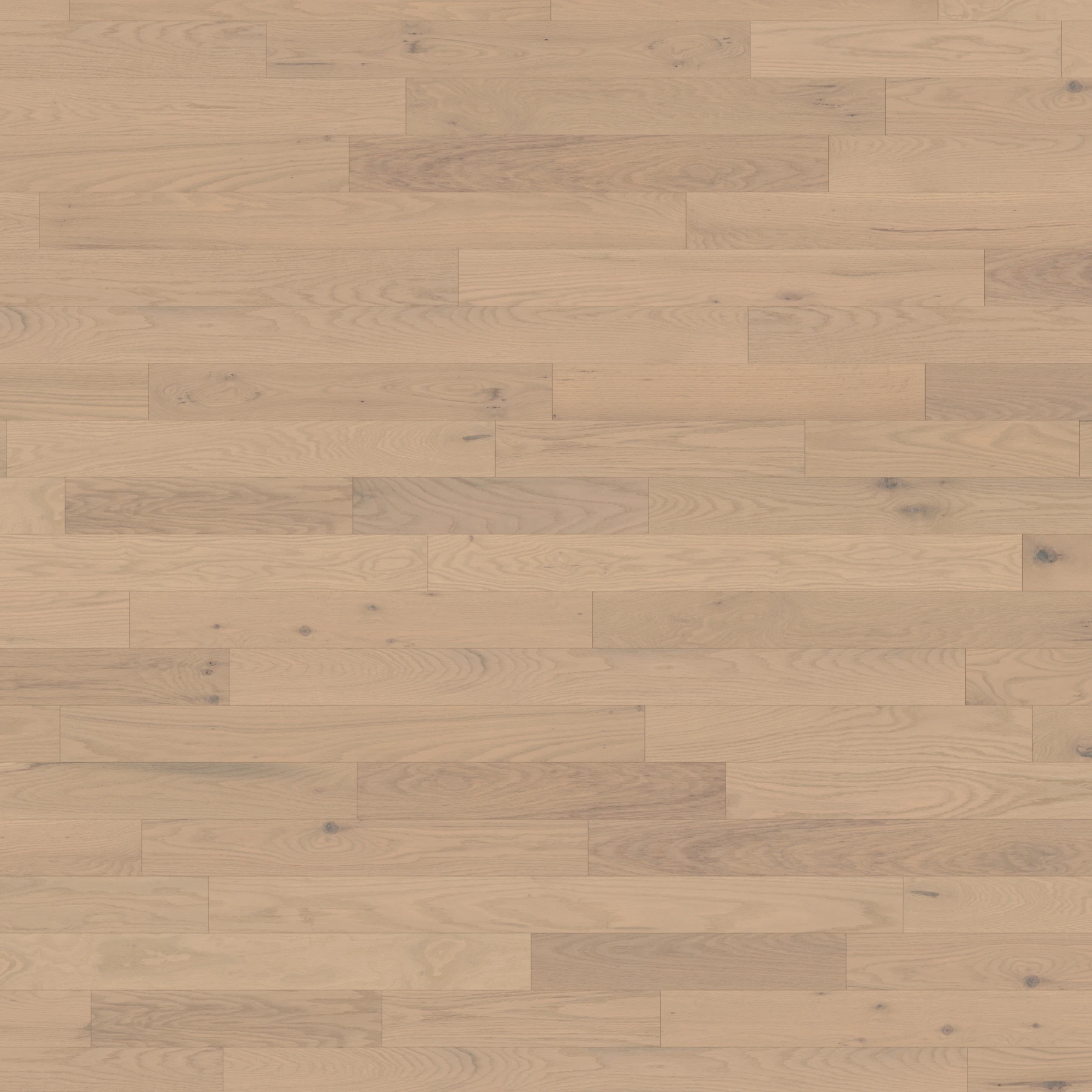 Oak Ivory Character Smooth Satin Wood Floor Flooring surface by Alexandra Hardwood Flooring