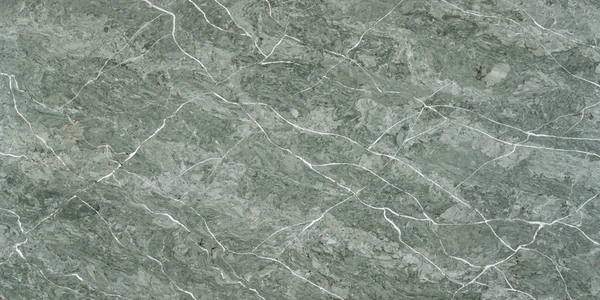Vicostone BQ6716 Vitoria Regia Polished Quartz Texture