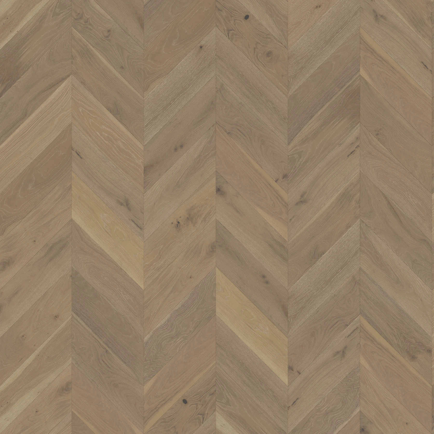 Surface de Killarney M176075 Parkfield︱Chevron Couvre-plancher intérieur par Real Wood Floors