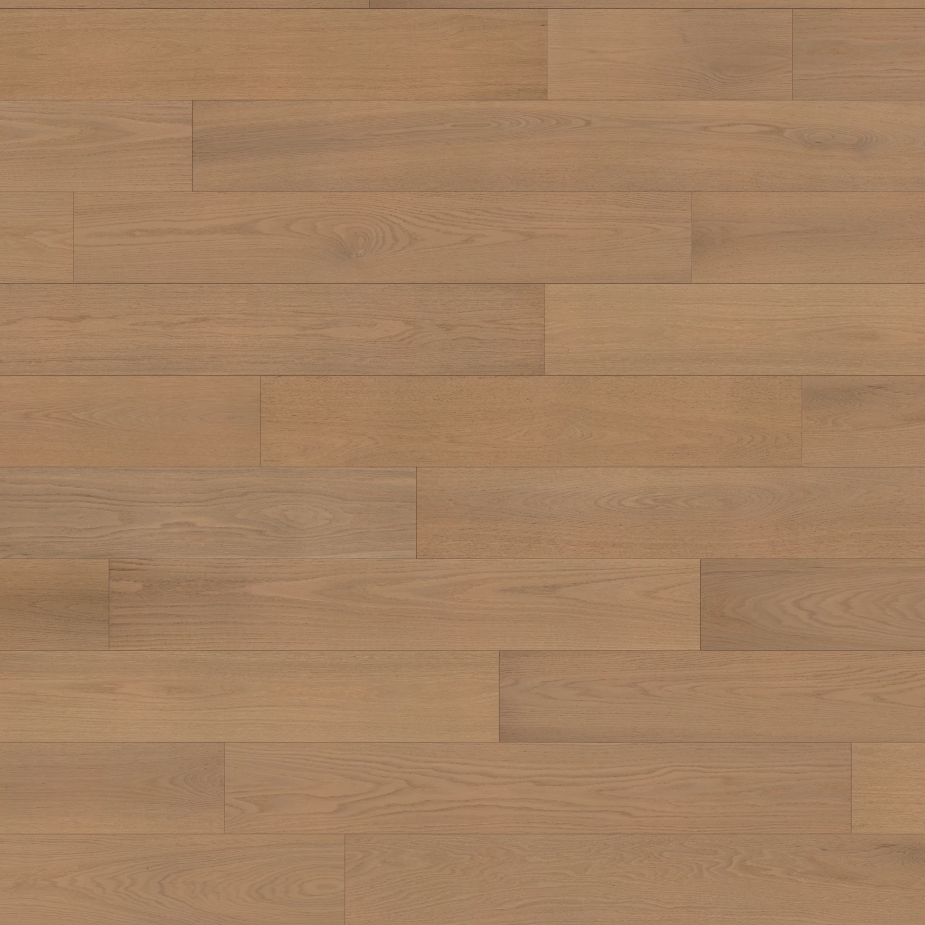 Eterna American Oak - Aura 9.5" Wood Floor Indoor Flooring surface by Denali Hardwood Floors