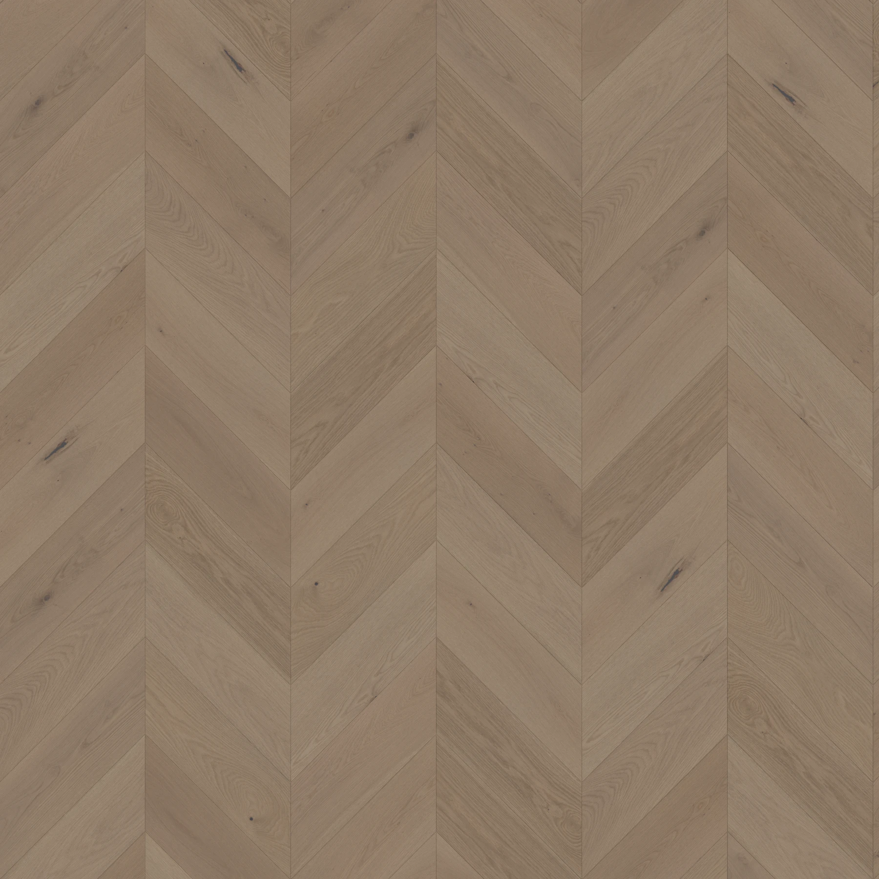 Surface de Velasario M195910 Marea︱Chevron Couvre-plancher intérieur par Real Wood Floors