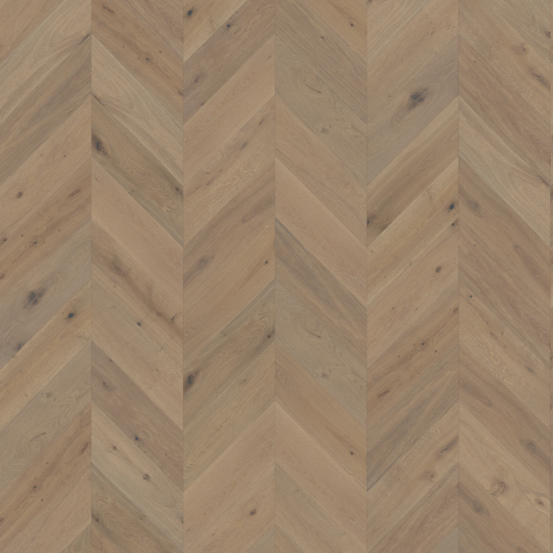 Surface de Silvian M199706 Kallio – Cliff︱Chevron Couvre-plancher intérieur par Real Wood Floors