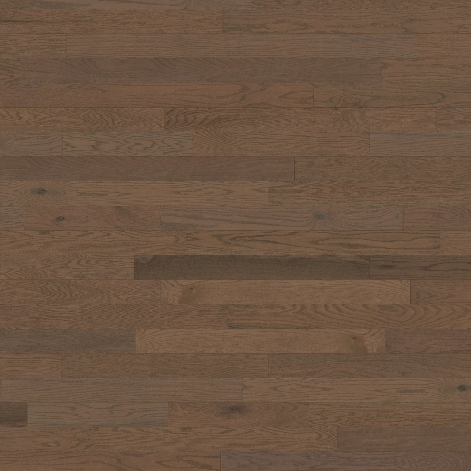 Oak Bisque Character Brushed Matte Wood Floor Flooring surface by Alexandra Hardwood Flooring