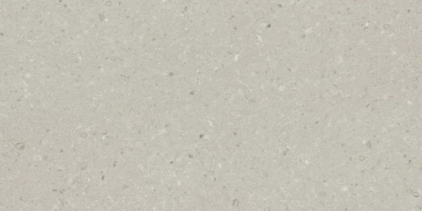 Vicostone BQ8805 Cendre | CENDRE® Polished Quartz Texture