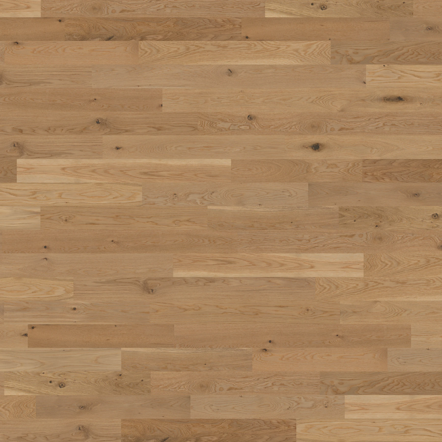 White Oak Natural Variation With Knots Wood Floor Flooring surface by Preverco